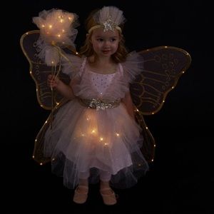 Pottery Barn light up fairy costume